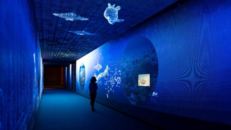 水をめぐる体験型展示会 水のトンネル